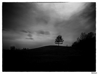 Landscape Noir