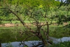 Die Donau zum Ersten