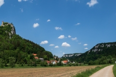 Feld, Wald und Wiese