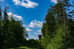 DSC02781