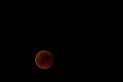 Roter Mond