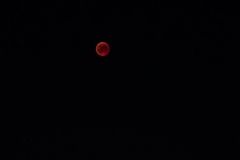 Rote Punkte