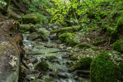 Nun aber: Der Weg zur Falkensteiner Höhle