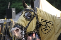 the_knights_horse_by_diecoolesocke-dcd4oqj