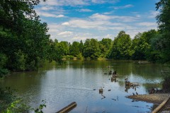 Markwasen Weiher - Reutlingen