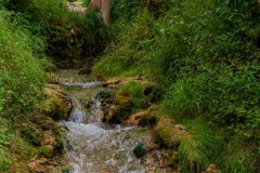 Brühlbach - Bad Urach